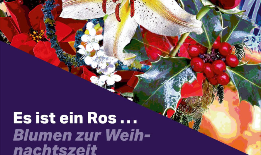 6 December, 2025 | 15:00